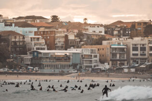 How many in the water you reckon? And that's just North
