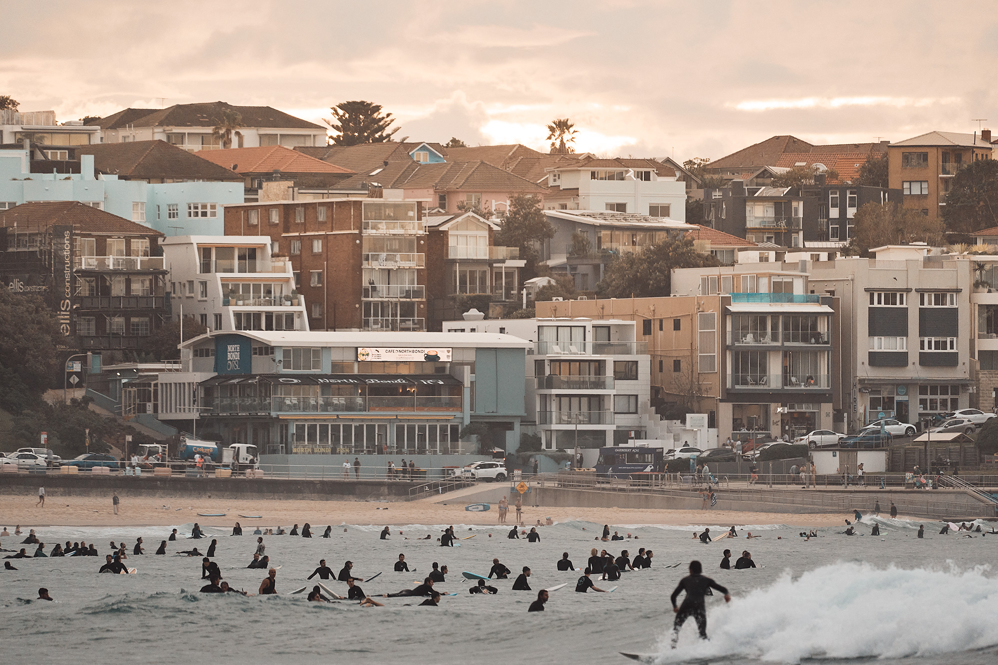 How many in the water you reckon? And that's just North