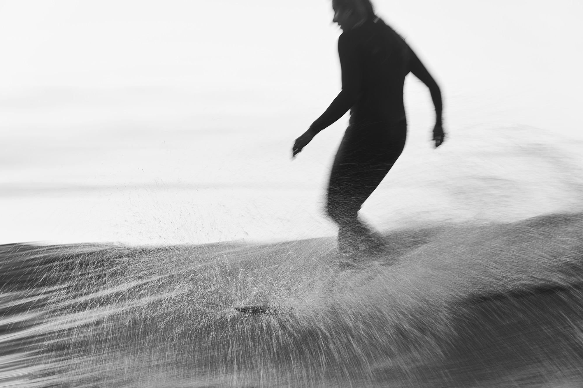 Gliding poetry A1X3597