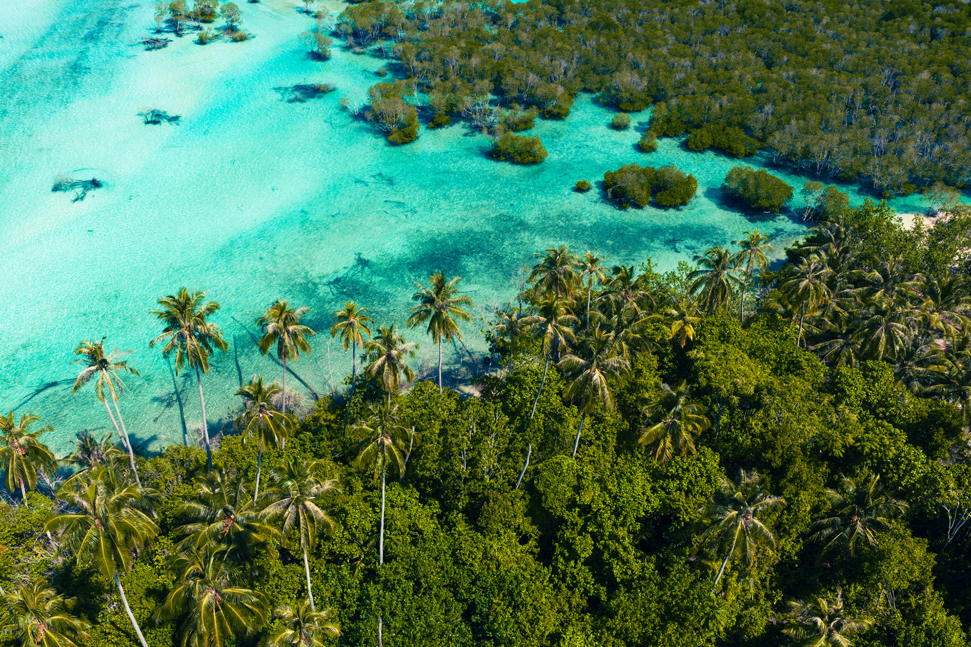Aquabumps DJI_20250602133542_0057_DA Maccas Lagoon