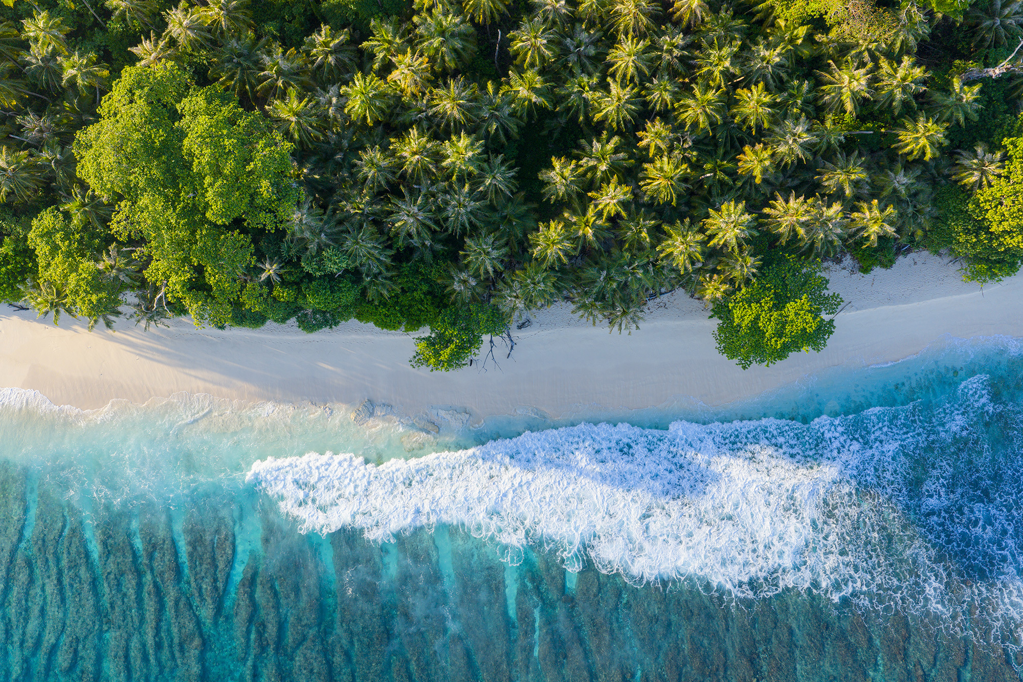 Aquabumps DJI_20250608101539_0222_D Edge of Paradise