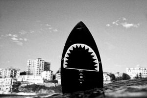 Rama's Shark, Bondi