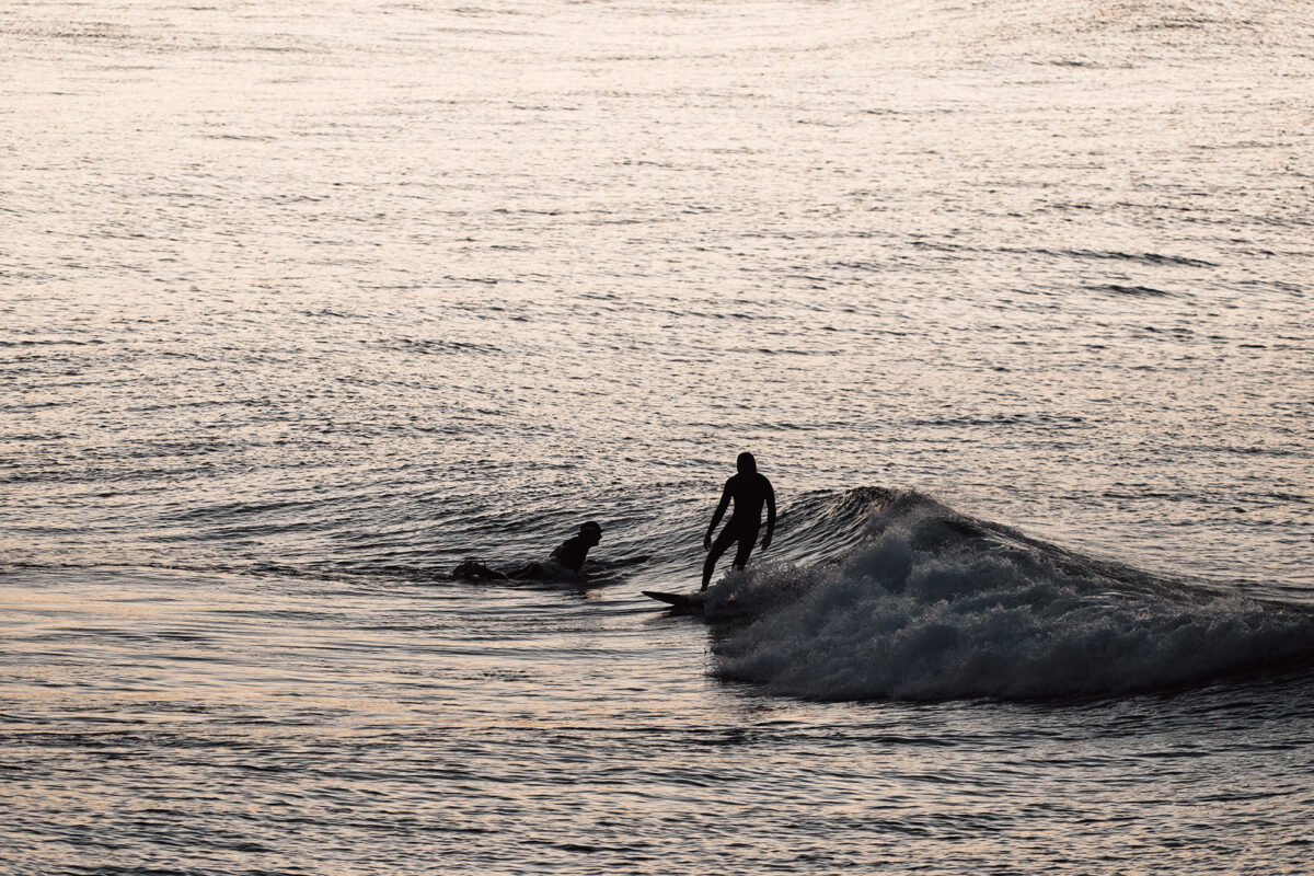 Fishy rides and small swells, Bondi 7am