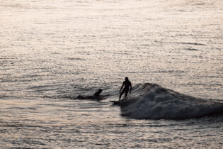 Fishy rides and small swells, Bondi 7am
