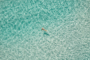 The Sequel - Lone Swimmer II