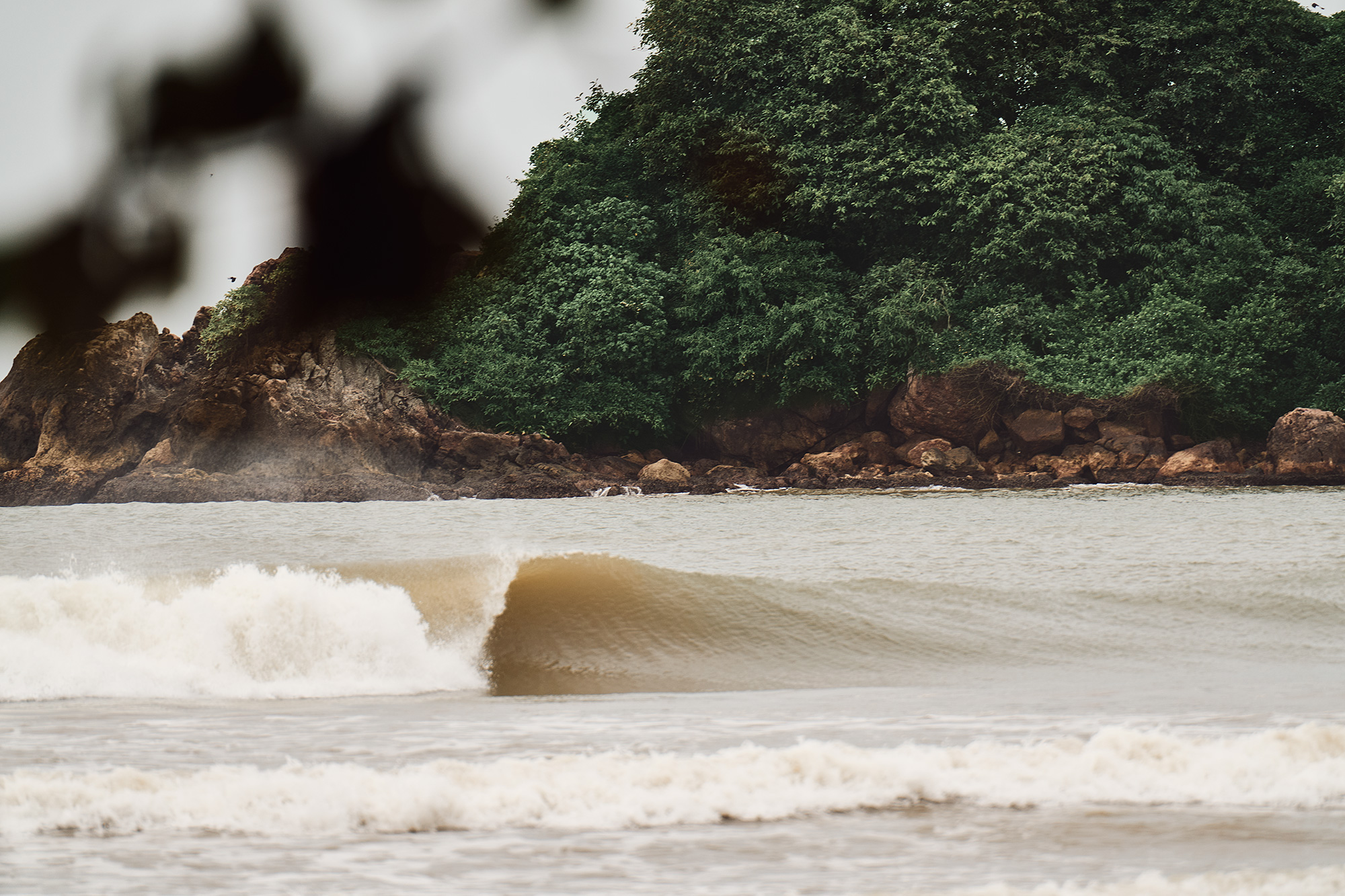 Sri Lanka, empty nugget rolls in Weligama
