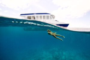 Dhoni Split A1S04674 Aquabumps